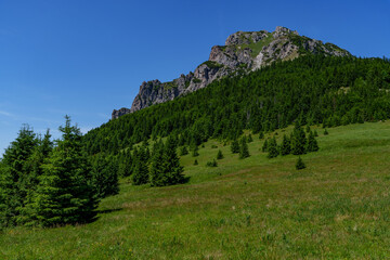 Majestic view of Velky Rozsutec mountain in Mala Fatra, Slovakia