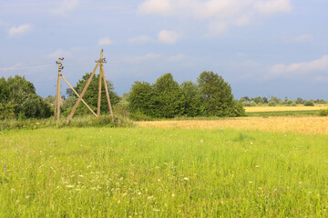 Golden and green fields stretch to the horizon under a bright sky with scattered clouds, where wooden poles supporting power lines stand tall.