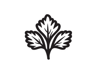 Clean Parsley Leaf Vector Illustration Artwork