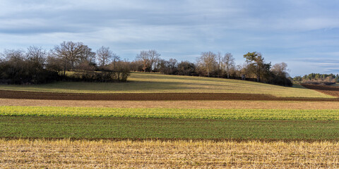Landschaft Heimsheim