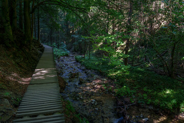 Wooden footbridge in Janosikove Diery forest trail, Mala Fatra, Slovakia