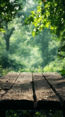 Fototapeta premium Rustic Wood Table in a Lush Green Forest with Soft Sunlight
