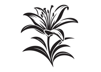 lily flower silhouette logo vector illustration, flower silhouette vector design, black lily flower logo black silhouette, beautiful lily flower logo silhouettes vector on a white background