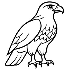 Fototapeta premium eagle vector illustration