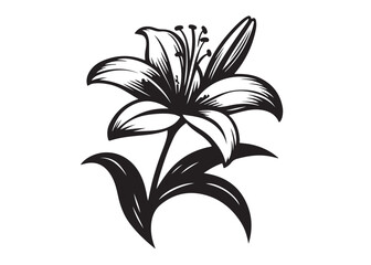 lily flower silhouette logo vector illustration, flower silhouette vector design, black lily flower logo black silhouette, beautiful lily flower logo silhouettes vector on a white background