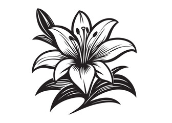 lily flower silhouette logo vector illustration, flower silhouette vector design, black lily flower logo black silhouette, beautiful lily flower logo silhouettes vector on a white background