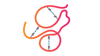Protein 3D Structure: Disulfide Bonds and Tertiary Folding Vector Illustration