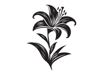 lily flower silhouette logo vector illustration, flower silhouette vector design, black lily flower logo black silhouette, beautiful lily flower logo silhouettes vector on a white background