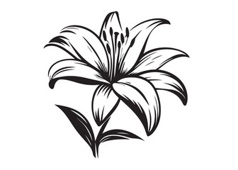 lily flower silhouette logo vector illustration, flower silhouette vector design, black lily flower logo black silhouette, beautiful lily flower logo silhouettes vector on a white background