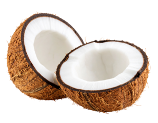  Split Coconut with Drilled Hole, Side Angle Composition, Isolated on PNG