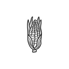 Hand-Drawn Black and White Corn Cob Illustration