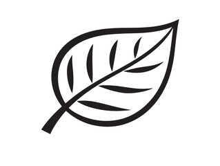 Spring Leaf Symbol with Delicate Linear Design  
