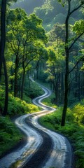 Serene Winding Road Through Lush Green Forest
