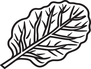 Swiss Chard Leaf Icon in Elegant Vector Style  