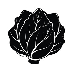 cabbage leave clipart isolated