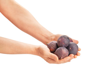 figs in hand path isolated on white
