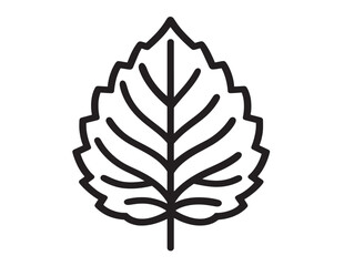 Detailed Tulsi Leaf Line Art Vector Icon  