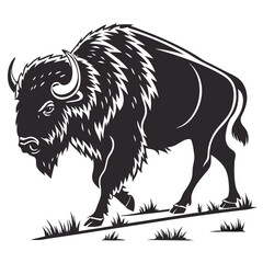 Obraz premium Isolated Black Silhouette of an American Bison on White Background