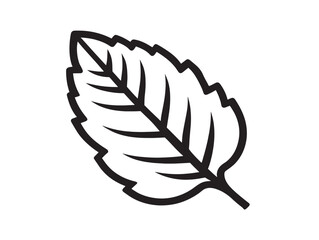 Modern Minimal Tulsi Leaf Vector Illustration  