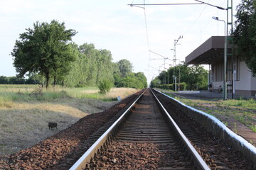 Fototapeta premium railway in the countryside