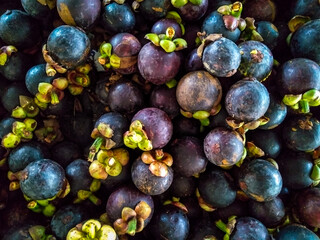 mangosteen fruit, kuching, malaysia