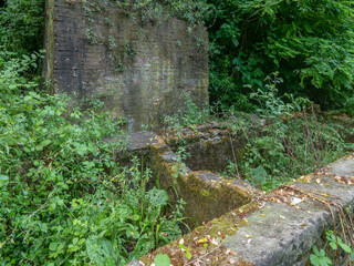 The ancient Fonte dei Portonari in Fauglia, Pisa, Italy, almost completely covered by vegetation