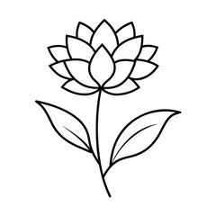 detailed vector illustration of a beautiful open