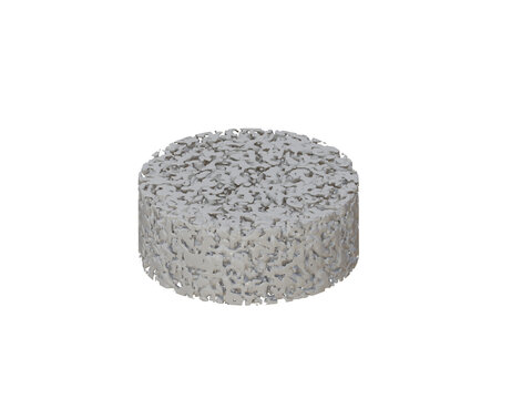 White porous disk-1