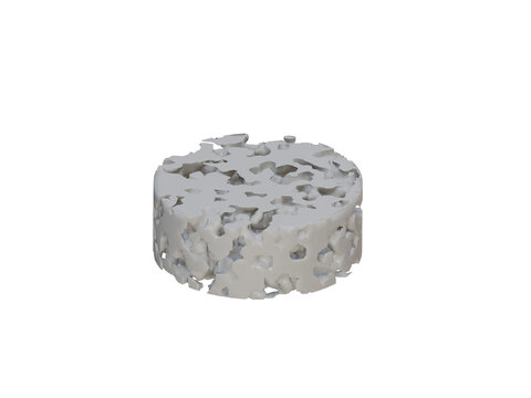 white porous disk-2