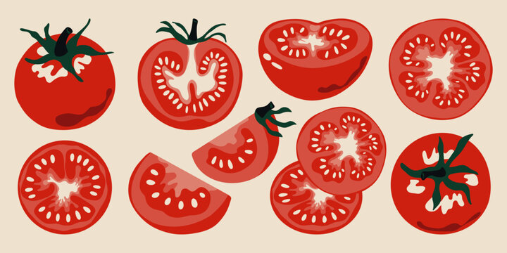 Red tomato set. Ripe tomatoes whole and sliced sections with seeds, cartoon fresh farm garden vegetables, organic vegetarian food product. Vector isolated collection