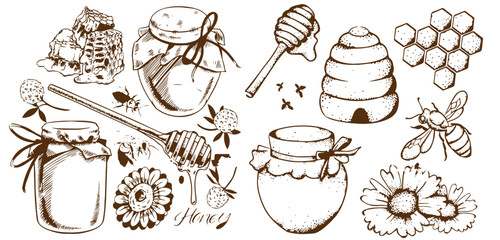 Vector honey set. Vintage hand drawn illustration