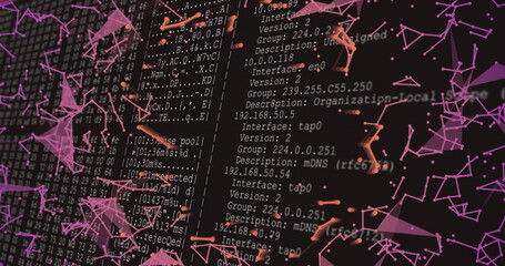 Displaying network interface logs on monitoring terminal, with purple graph overlay