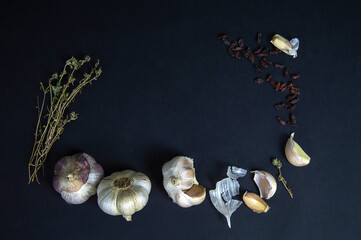 fresh garlic with herbs and organic spices on a dark background.
