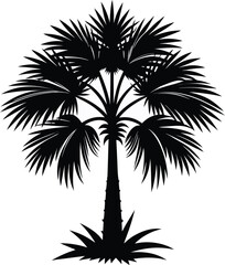 Fototapeta premium Black silhouette of a palm tree with a textured trunk and fan-shaped leaves white background