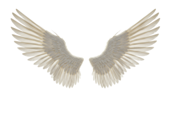 Large, transparent angel wings with meticulously detailed individual feathers and subtle golden hues, isolated on a clean, seamless, transparent studio background, ultra-realistic UHD photography,