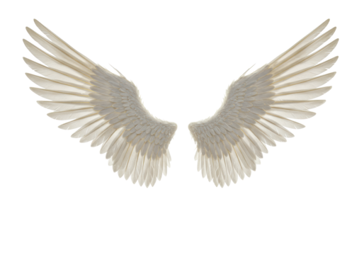 Large, transparent angel wings with meticulously detailed individual feathers and subtle golden hues, isolated on a clean, seamless, transparent studio background, ultra-realistic UHD photography,