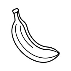 banana vector illustration