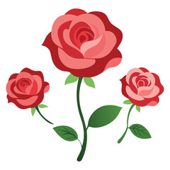 Red and pink roses with green leaves flower flowers