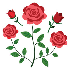 Red roses and green leaves pink