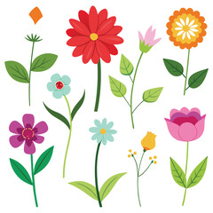 Various colorful flowers and leaves pink orange