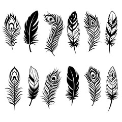 Abstract peacock feather isolated on white, boho style  illustration.