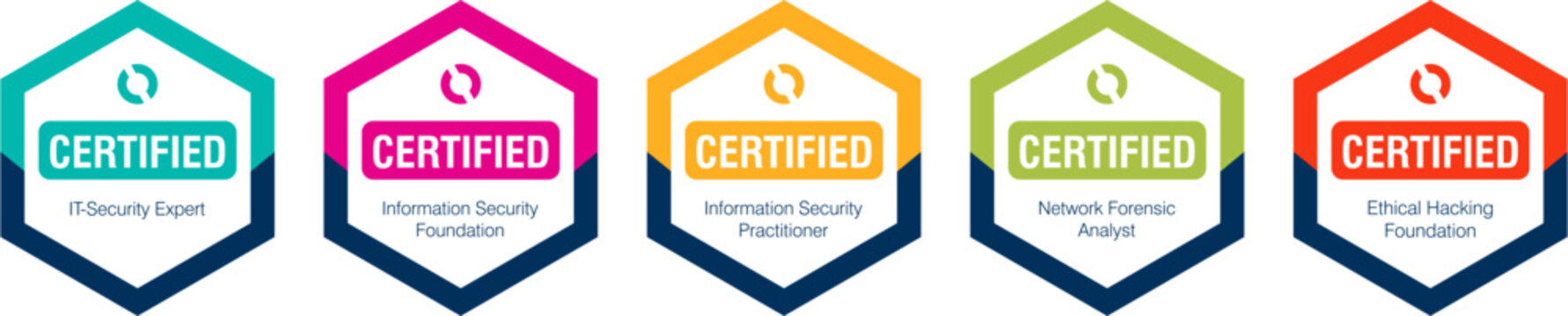 Set of computer security certification organization badges. Colorful hexagon vector icons for secure access, network protection, data privacy, and cybersecurity accreditation logos.