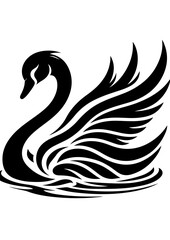 Obraz premium A black swan gracefully glides across the water, isolated on white background