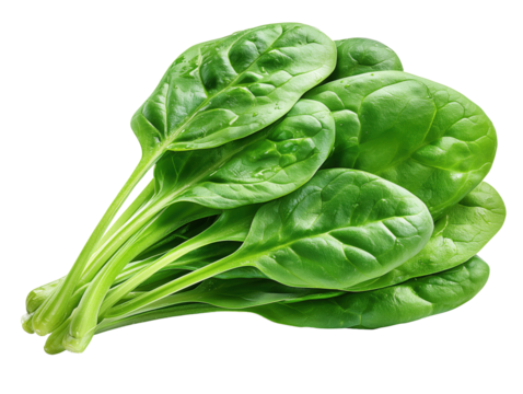 Fresh spinach leaves showing water droplets on transparent background