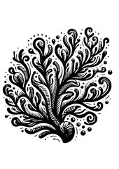 A black and white coral grows in the ocean