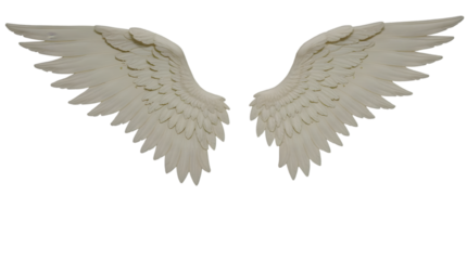 Majestic white feathered wings unfurled, evoking purity, divinity, and a sense of soaring freedom against a clean backdrop