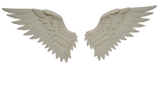 Majestic white feathered wings unfurled, evoking purity, divinity, and a sense of soaring freedom against a clean backdrop
