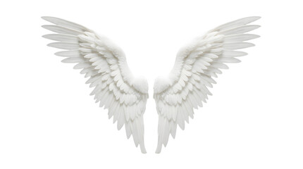 Fototapeta premium A pair of large, majestic white feathered angel wings spread wide against a clean white background, evoking a sense of purity and divinity