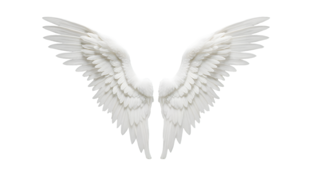 A pair of large, majestic white feathered angel wings spread wide against a clean white background, evoking a sense of purity and divinity