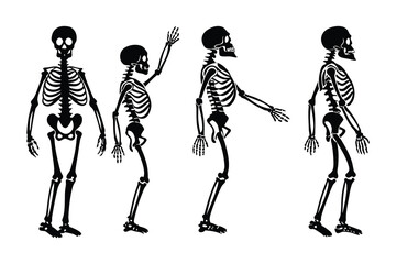 Forward-Bending Human Skeleton Vector Set
